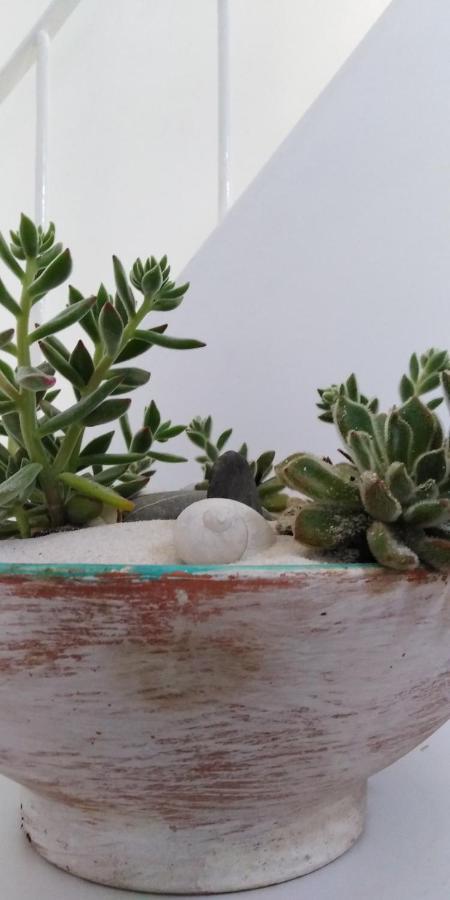 Casarao Al Panzió Olhão Kültér fotó